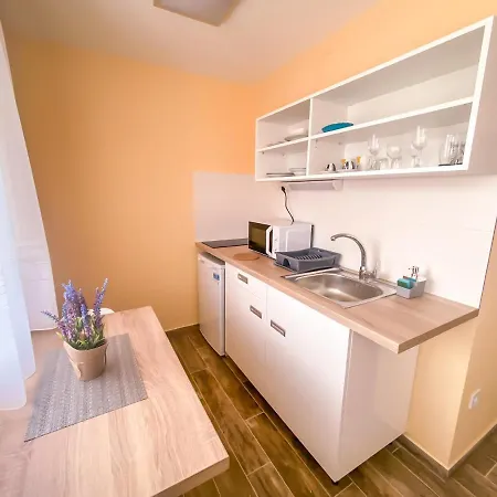 Fasor Vendeghaz Szeged