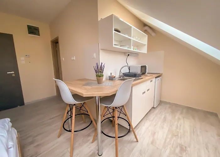 Aparthotel Fasor Vendeghaz Segedín